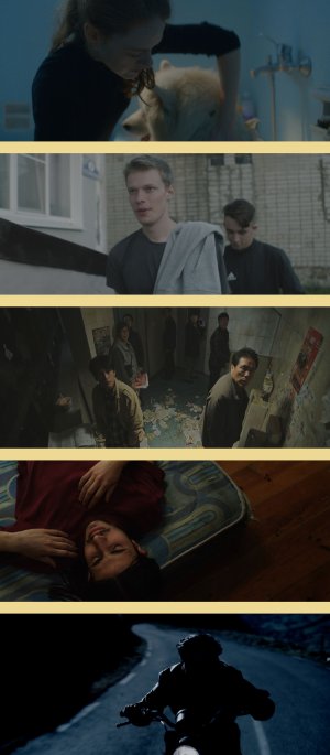 Mardi 15 mai #Cannes2018, les films