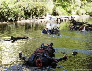 Mercredi 29 mai #Cannes2023, les films